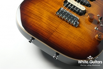 NV-3-24-AL-VTR - Bengal Burst #S2006142